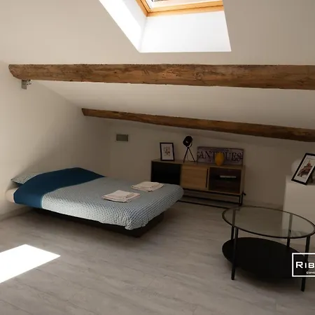 Sublime Loft De 130m Climatise Au Calme *
